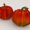 Pumpkin Vegetables 3d model