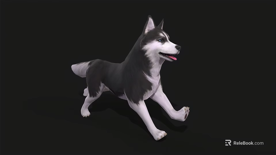 Black And White Husky Dog Running In 3D Model Rendering 3d model 