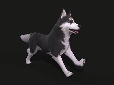 Black And White Husky Dog Running In 3D Model Rendering 3d model