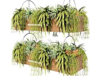 Bonsai Potted Plants in Hanging Wooden Planters with Cascading Green Foliage 3d model