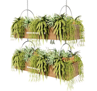Bonsai Potted Plants in Hanging Wooden Planters with Cascading Green Foliage 3d model