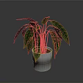 Potted Houseplant with Green and Dark Purple Leaves in Silver Pot on White Background