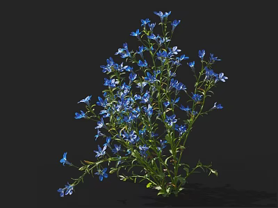 Delicate Small Blue Flowers Bouquet With Green Stems On Black Background 3d model