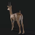 Realistic Standing Antelope With Long Horns And Brown Coat In Natural Pose