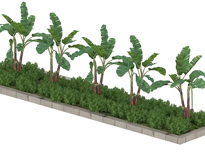 Healthy Lush Green Arbor Trees Arranged In A Row Along Concrete Border 3d model