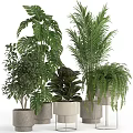 Lush Green Potted Plants With Monstera Palm And Fern For Indoor Home Decor