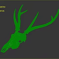 Modern Skull Goat Skull Animal Skull Fossil Skull 3d model