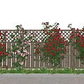 Lush Climbing Vines Covering Wooden Fence With Red Pink Flowers In Garden Under Blue Sky