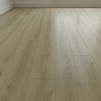 Wood Flooring 3d model