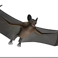 Bat Showing Wide Wings While Gliding Through Air Near Trees 3d model