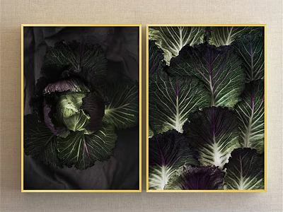 Botanical Art Featuring Dark Purple And Green Cabbage Leaves With Golden Frames On Dark Background 3d model