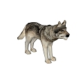 Wolf 3d model