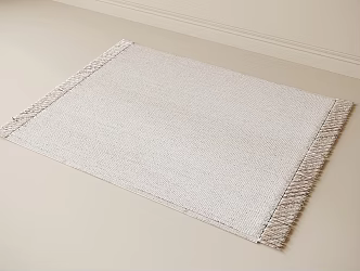 Modern Carpet 3d model