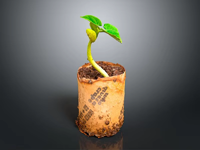 Green Seedling Growing In Paper Pot With Fresh Soil And Tender Leaves 3d model