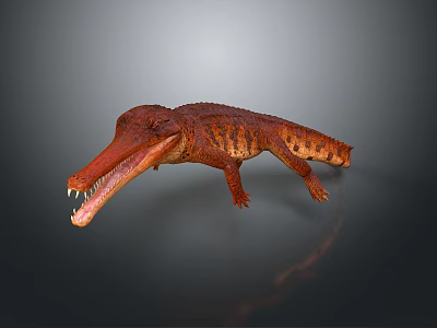 3D Rendered Crocodile Model with Red Orange Skin Open Mouth Sharp Teeth Dark Background Reflection 3d model