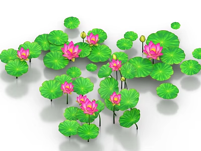Pink Blooming Lotus Flowers And Green Lily Pads As Aquatic Plants In Water 3d model