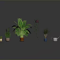 Various Indoor Plants Large Leaf Green Plant Climbing Vine Small Potted Plants And Watering Can