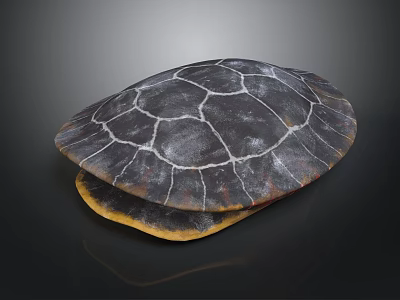 Turtle Displaying Detailed Shell With Dark Surface White Patterns And Yellow Underside 3d model