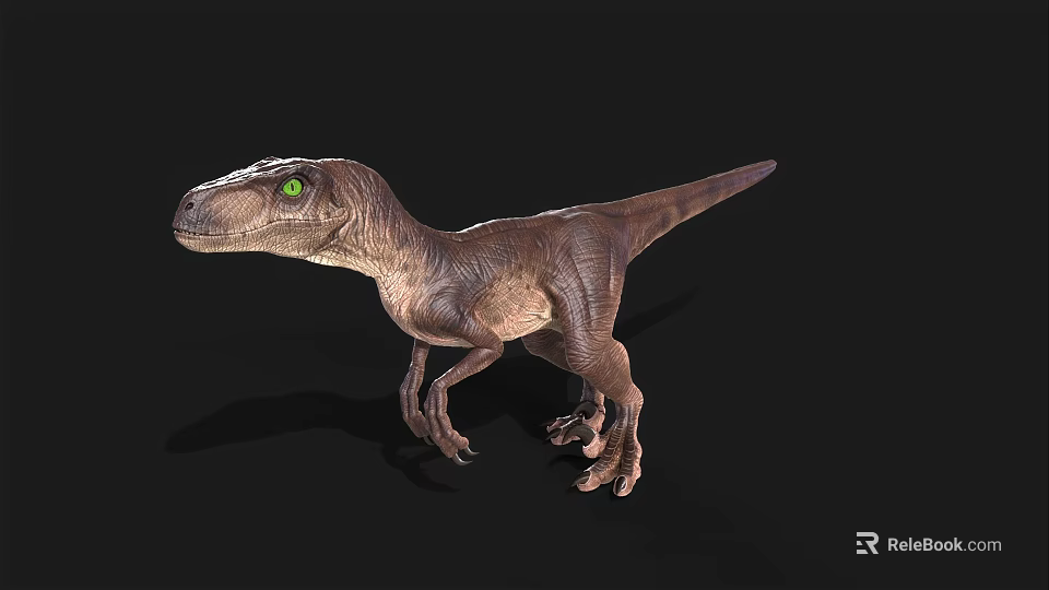 Realistic Velociraptor Dinosaur Model With Green Eyes And Brown Skin Standing On Black Background 3d model 