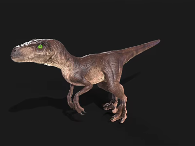 Realistic Velociraptor Dinosaur Model With Green Eyes And Brown Skin Standing On Black Background 3d model