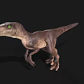 Realistic Velociraptor Dinosaur Model With Green Eyes And Brown Skin Standing On Black Background