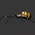 3D Rendered Spider With Detailed Orange Yellow Striped Body And Black Legs With Orange Spots