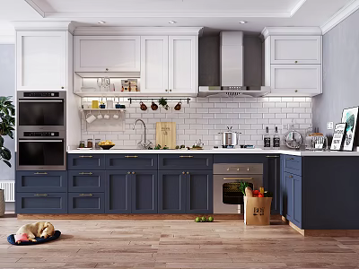 Modern Kitchen With White And Navy Blue Cabinets Island Sink And Appliances 3d model