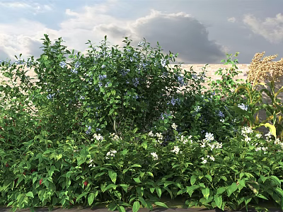 Lush Green Shrubs With White And Blue Flowers Under Cloudy Sky 3d model