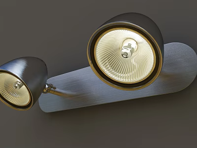 Modern Double Downlight Spotlights With Metal Fixture And Indoor Lighting Design 3d model