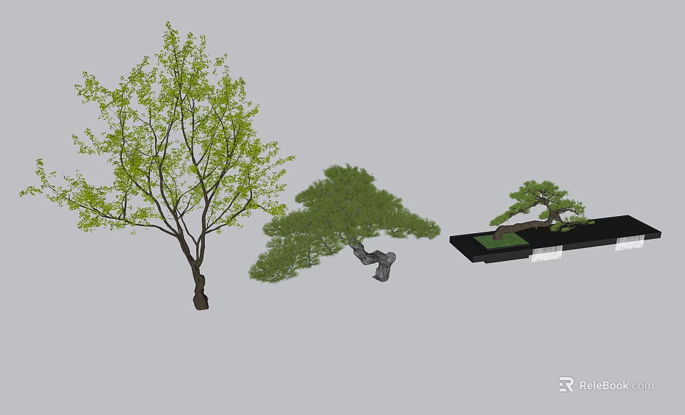 Plant Combination Featuring Tall Tree Medium Shaped Tree And Small Potted Plant 3d model