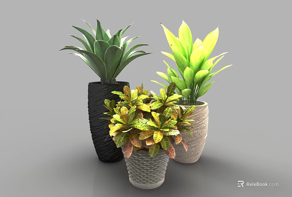 Stylish Potted Plants with Green and Variegated Leaves in Decorative Pots 3d model 