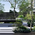 Serene Garden Landscape With Tall Trees Green Shrubs And Stone Pathways