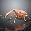 Golden Textured Beetle Sculpture Featuring Shiny Surface And Dark Background Reflection