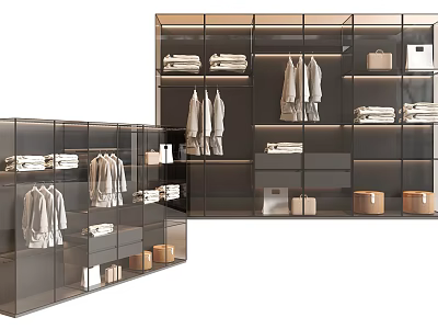 Modern Wardrobe with Glass Doors Hanging Clothes Folded Clothes and Storage Boxes 3d model