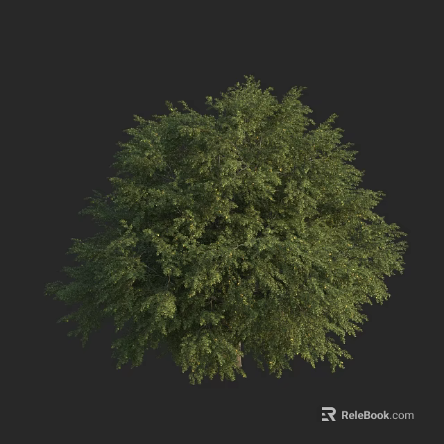 Arbor With Lush Green Foliage And Full Crown In Natural Environment 3d model 