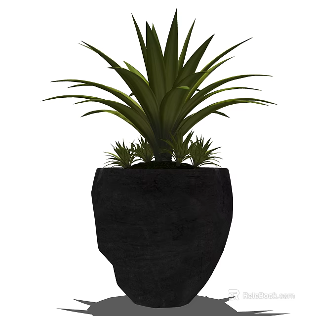 Indoor Bonsai Potted Plant With Green Foliage In Black Textured Pot 3d model 