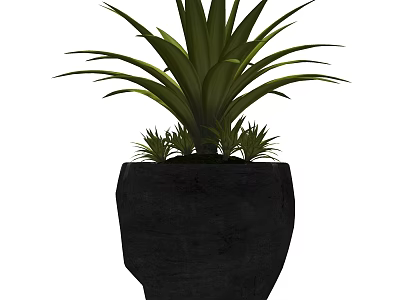 Indoor Bonsai Potted Plant With Green Foliage In Black Textured Pot 3d model