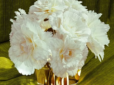 Elegant White Carnation Bouquet In Golden Vase On Green Textured Fabric 3d model