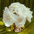 Elegant White Carnation Bouquet In Golden Vase On Green Textured Fabric