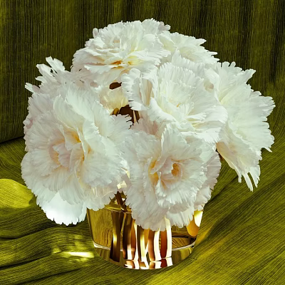 Elegant White Carnation Bouquet In Golden Vase On Green Textured Fabric 3d model