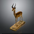 Antelope Taxidermy Mount Displayed On Wooden Base With Small Plaque