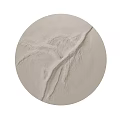 Minimalist Round Beige Textured Wall Decor with Branch Pattern for Modern Interior 3d model