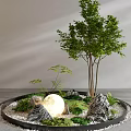 Indoor Interior Landscape With Circular Design Trees Rocks Moss And Glowing Sphere