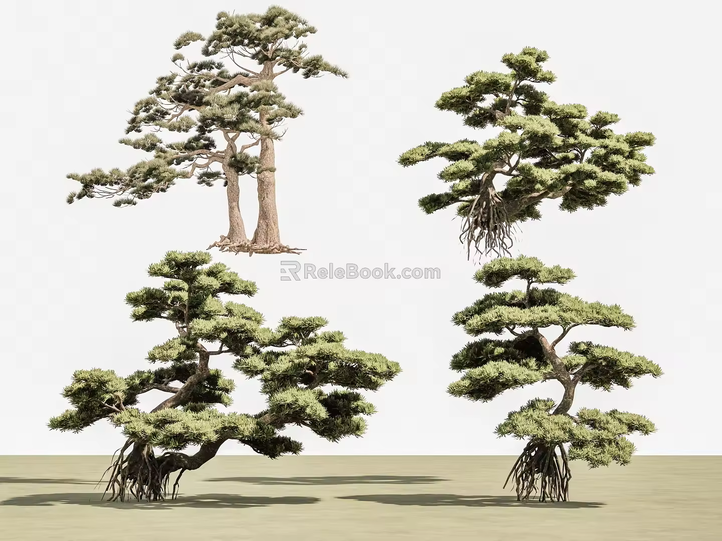 Yingke Pine Luo Han Pine Duanjing Garden Landscaping Pine Tree Landscaping Tea Room Model Tree Dry Landscape Pine Tree 3d model
