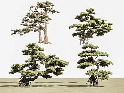Various Forms Trees With Curved Branches Lush Green Foliage And Trunks 3d model
