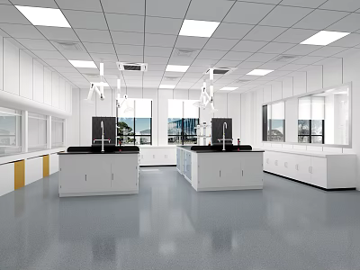 Bright Laboratory with White Lab Benches Faucets Windows Ceiling Lights and Gray Flooring 3d model