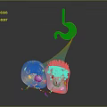 Colorful 3D Illustration of Brain Neurons with Organelles and Cellular Structures