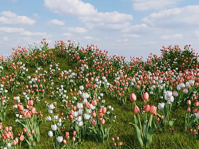 Beautiful Park Landscape With Colorful Flowers Green Grass And Blue Sky Clouds 3d model