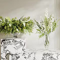 Elegant Green And White Flowers Arranged In Glass Vases On Marble Tabletop