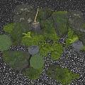 Japanese style courtyard landscape sketch stone landscape stone micro-terrain water portland green plant pile 3d model